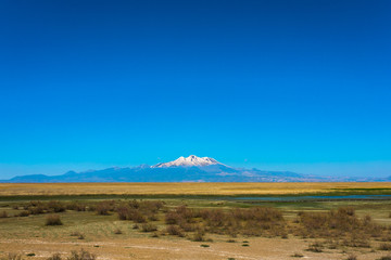 Mountain and Marshes, Reeds under the clean blue sky. This is Erciyes Mountain in Kayseri Turkey. Sultan Sazligi national park in Develi Valley. Beautiful pastoral landscape