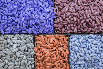 seed sunflower seeds, corn, radishes. painted agro color for sorting and labeling