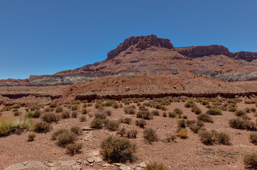 scenic view of Red House Cliffs along Utah State Route 276 highway in San Juan county