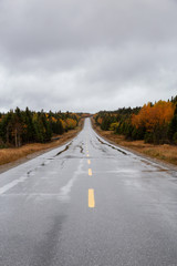 Scenic road during a cloudy day in the Fall Season. Taken in Northern Newfoundland, Canada.