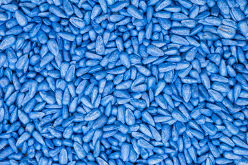 seed sunflower seeds. painted agro color for sorting and labeling