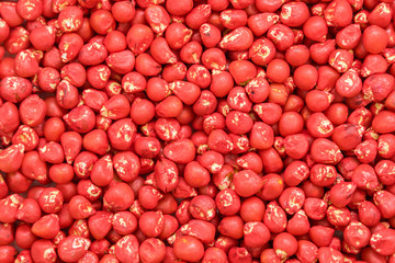 seed sunflower corn. painted agro color for sorting and labeling