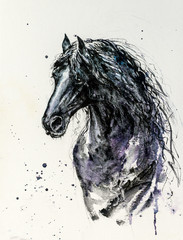 Decorative portrait of beautiful Friesian horse with long mane in black color on white background.Picture created with watercolors. © dannywilde