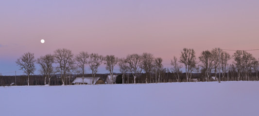 winter landscape with trees and moon