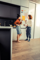 Two stylish roommates sharing responsibilities about cleaning