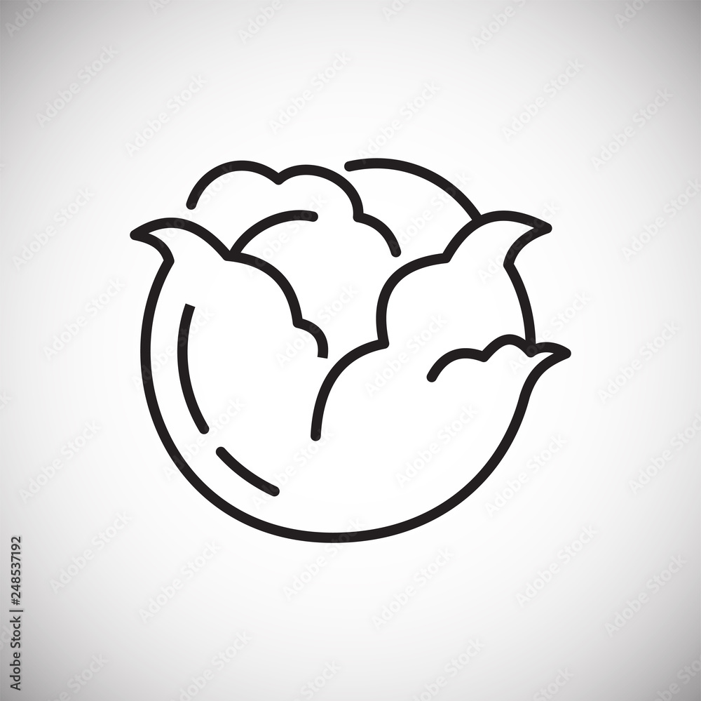 Poster cabbage line icon on white background for graphic and web design, modern simple vector sign. interne