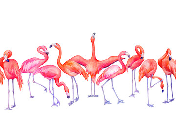 Seamless pattern with exotic tropical pink flamingo bird (flame-colored) in different poses. Hand drawn watercolor painting illustration isolated on white background.