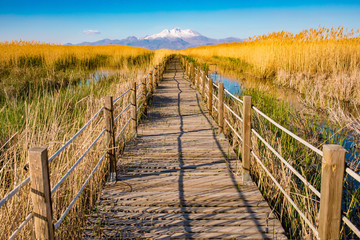 Wooden bridge walkway path on marshes and reeds in front of mountain. This is from Sultan Sazligi and Erciyes Mountain in Kayseri Turkey. Pastoral beautiful landscape background. 