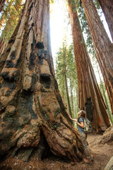 Hiker in Sequoia national park in California, USA