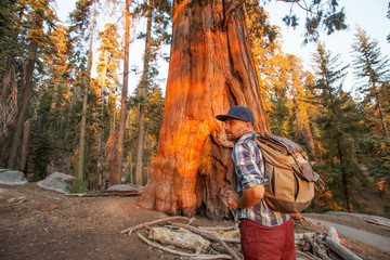 Hiker in Sequoia national park in California, USA