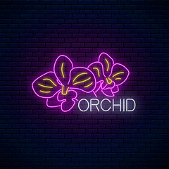 Glowing neon orchid sign. Floral symbol with orchid flowers in neon style