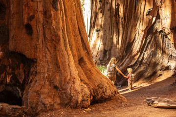 Family with boy visit Sequoia national park in California, USA