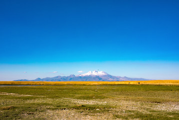 Mountain and Marshes, Reeds under the clean blue sky. This is Erciyes Mountain in Kayseri Turkey....