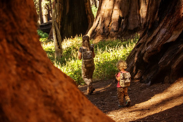 Family with boy visit Sequoia national park in California, USA