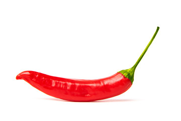 One red hot chili pepper on white background
