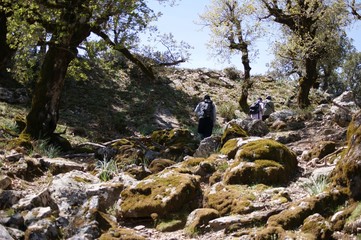 hiking in mountains