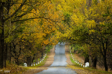 Road to autumn