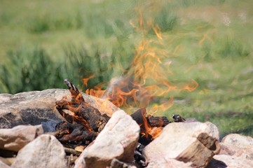 fire in forest