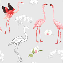 Seamless pattern, background with tropical birds