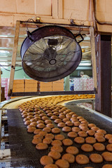 Cooling of just baked oat cookies by large fan
