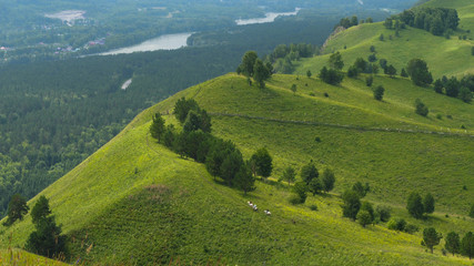 People ride horses by gorgeous mountainside trail.