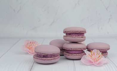 french macaron cookies dessert pink lilac