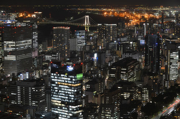 Fototapeta na wymiar Tokyo city at night, Tokyo Japan