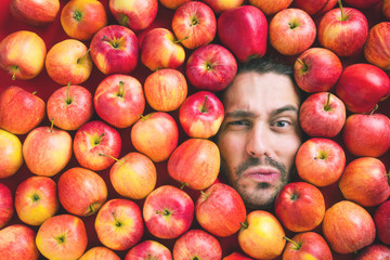 Mann mit Äpfeln , Konzept für Lebensmittelindustrie. Gesicht von lachenden mann  in Apfel Fläche.