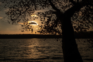 A tree is silhouetted as a small cloud blocks the sun just for a moment during sunset at over the water at Lake Benson Park in Garner, North Carolina.