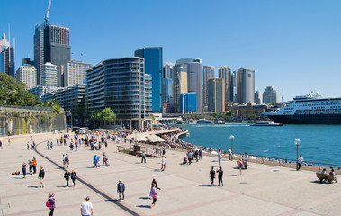 Sydney harbour city skyline