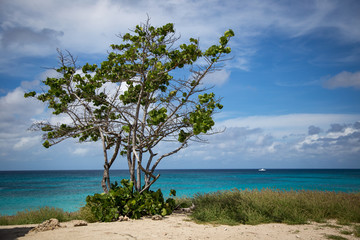 Fototapeta na wymiar Views from the Caribbean 