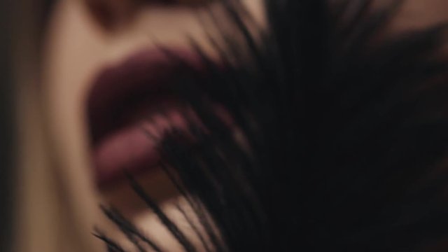Closeup of a woman's face, cosmetic for skin care, decorative cosmetics, matte lipstick for the lips, a black feather gently touches the cheek, beauty make-up, youth beautiful sexy model kiss passion.