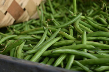 Green beans in the market