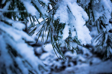 Najpiękniejsze miejsca w Polsce