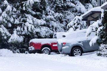 Snow-covered cars