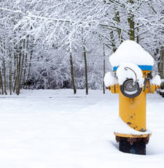 Fire hydrant in the snow