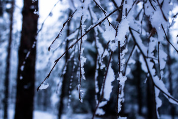 Najpiękniejsze miejsca w Polsce