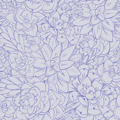 Seamless pattern succulent. Floral vector print surface design