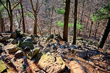 Outdoor Blue Hills Hike in Boston, MA on a sunny day during the winter
