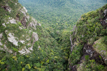 Rain forest notch