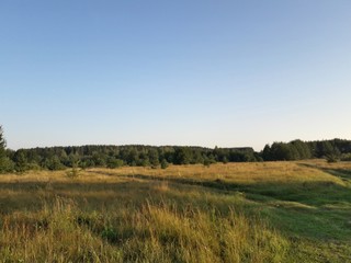 landscape with wheat field and blue sky