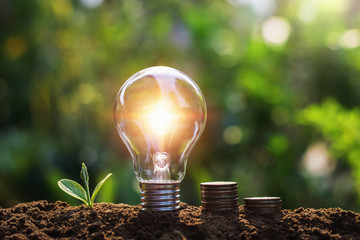 light bulb with coins and young plant. saving concept
