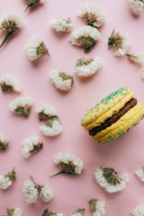 Composition of delicious bright macaroons and floral petals 
