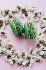 Composition of delicious bright macaroons and floral petals 