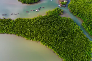 Foto op Canvas Green tropical mangrove forest with boat way © themorningglory