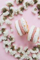 Composition of delicious bright macaroons and floral petals 
