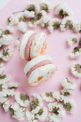 Composition of delicious bright macaroons and floral petals 