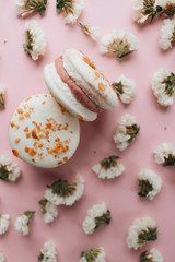 Composition of delicious bright macaroons and floral petals 