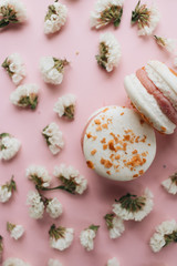 Composition of delicious bright macaroons and floral petals 