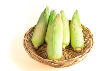 Corn in a wooden basket. isolated on white background and clipping path.